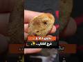 فرج کفتار بدون دعا طلسم و خرافات دیگر دیسکریپشن حتما مطالعه شود فرج کفتار بدون دعا طلسم و خرافات دیگر دیسکریپشن حتما مطالعه شود