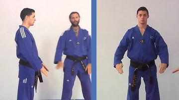 Tae Kwon Do - Double Knife Hand Cross Block