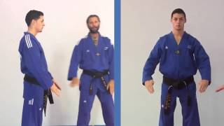 Tae Kwon Do - Double Knife Hand Cross Block