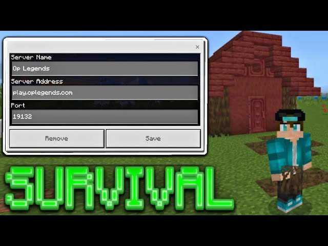 How To Make a Minecraft Server in 1.19.1 