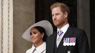From Palace Pigs To Popularity Pits Meghan And Harry Favourability Flops In New Poll