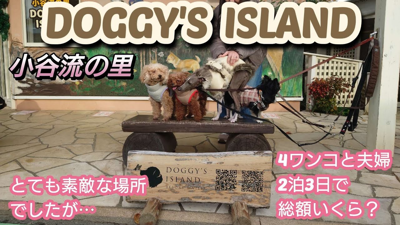【夫婦と4ワンコ】ドギーズアイランドに行ってみたけど⋯【2泊3日】