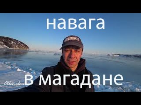 Как ловят НАВАГУ в МАГАДАНЕ?!  Fried saffron cod. Sea of Okhotsk. ENG. SUB.