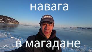 Как ловят НАВАГУ в МАГАДАНЕ?!  Fried saffron cod. Sea of Okhotsk. ENG. SUB.