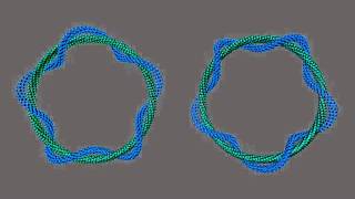 Neutrino (Torus Mirrored)