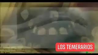 Los temerarios en vivo