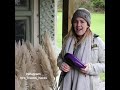 DIY Pampas Grass Prep  (Hacks, Tips & Advice) for home decor