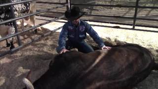 Matt Scharping and Magic Train Show Us Their Special Bond