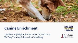 Canine Enrichment 11022023