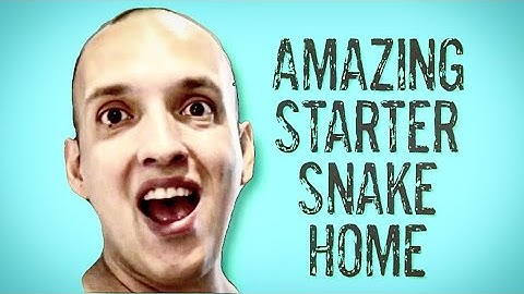 How To Build A Reptile Enclosure!