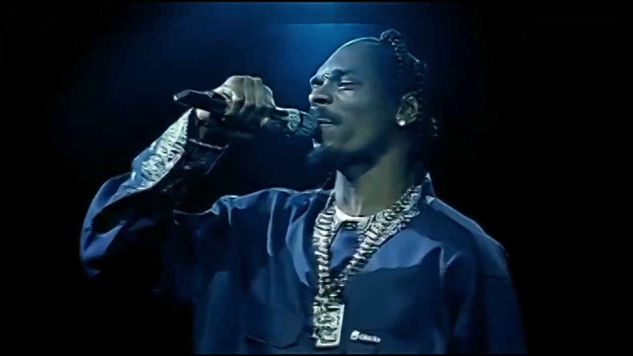 Ronin Mode Tribute to Up In Smoke tour 2001 Full Concert HQ