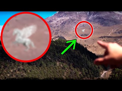 5 Criaturas Mitológicas Que Fueron Captadas en Cámara