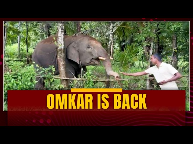OMKAR IS BACK