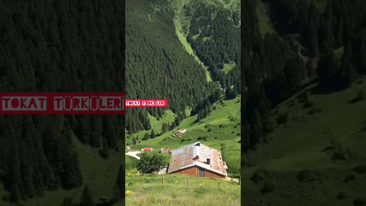 YAYLALAR 🌲FADİK // TOKAT TÜRKÜLERİ