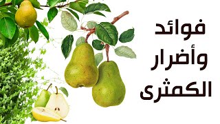 فوائد وأضرار الكمثرى