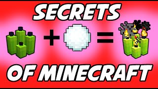 13 Candle Secrets in Minecraft!