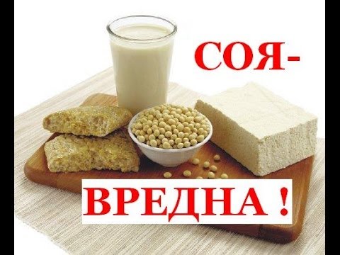 Соя вредна для здоровья: соевый соус, соевое мясо, соевое молоко и др.