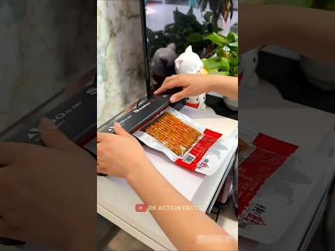 Papa aa gaye sab kuch set kar diya😂🤯 ll Carriage House wooden artist ll #cartoon #shortvideo