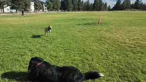 364930732 7479470685412601 8403988625592483782 n