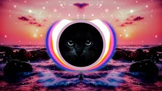 Night Dancer(Imase)(spectrum)