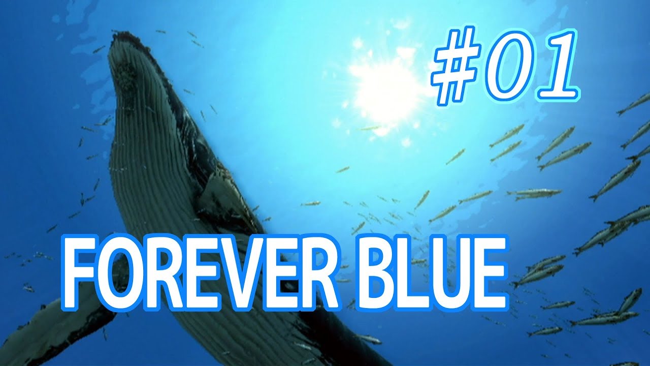 １ Forever Blue フォーエバーブルー 海の呼び声を優しく実況プレイ Youtube