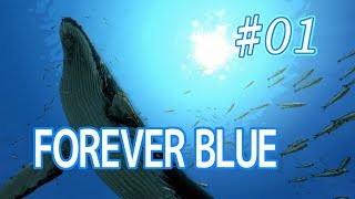 ☆１ 【FOREVER BLUE】フォーエバーブルー 海の呼び声を優しく実況プレイ！ screenshot 1