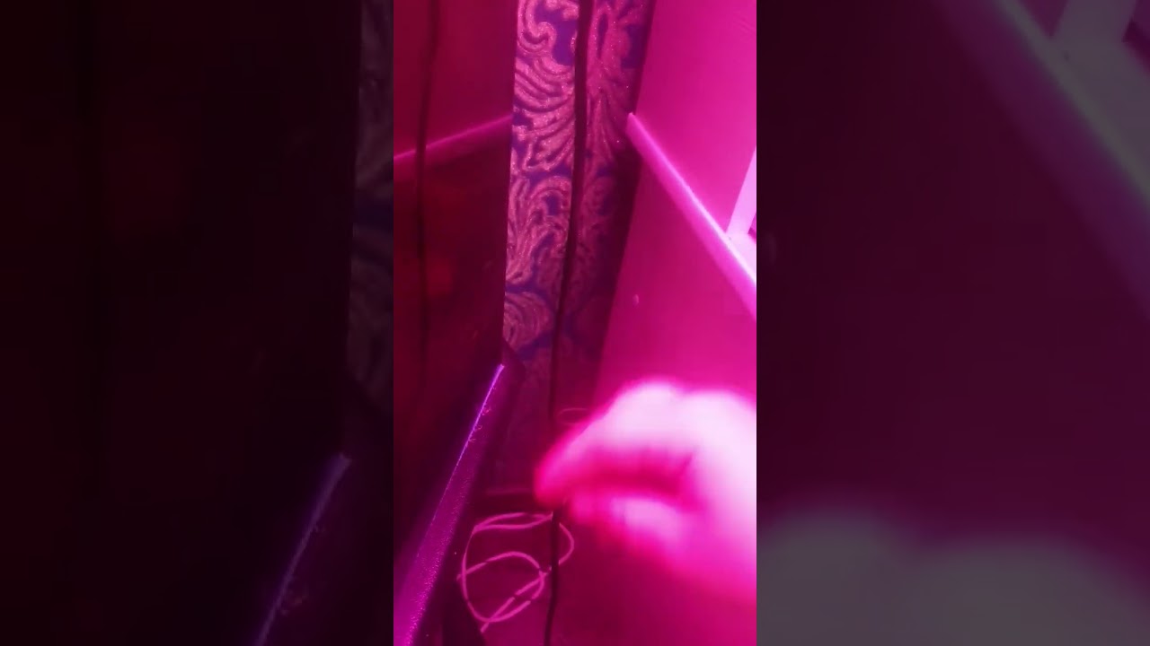 14 декабря 2022 г.