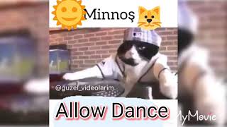 Minnoş- ALLOW DANCE Resimi
