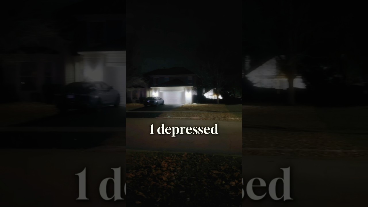 Every house: seasonal depression.My parents: ‘Fine, I’ll save Christmas myself.’