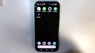 Does Google Pixel 10 Pro have Accelerometer screenshot 3