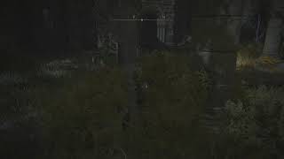 Elden Ring Invasion Full, Arcane Playthrough