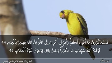 الصفحة 472 سورة غافر بصوت القارئ المهندس أحمد فايز الحراسيس