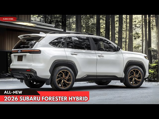 【ホルメン】スピードパウダーハイブリッド Amazon.co.jp: タミヤ(TAMIYA) ミニ四駆特別企画商品 ダッシュ1