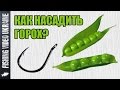 Как насадить горох на крючок Два простых способа 1080p FishingVideoUkraine 