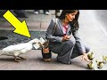 जब अचानक जानवर चोरी करते हुए पकड़े गए top 5 animal caught stealing