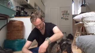Doggy Day Care