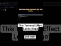 This Terminal Effect Looks Illegal #shorts @CyberSkills1