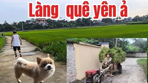 Làng Quê: Thăm Vẻ Đẹp Của Đồng Thái Tam Thái Hóa Thượng Đồng Hỷ  Thái Nguyên | Đỗ Công Mạnh TV.