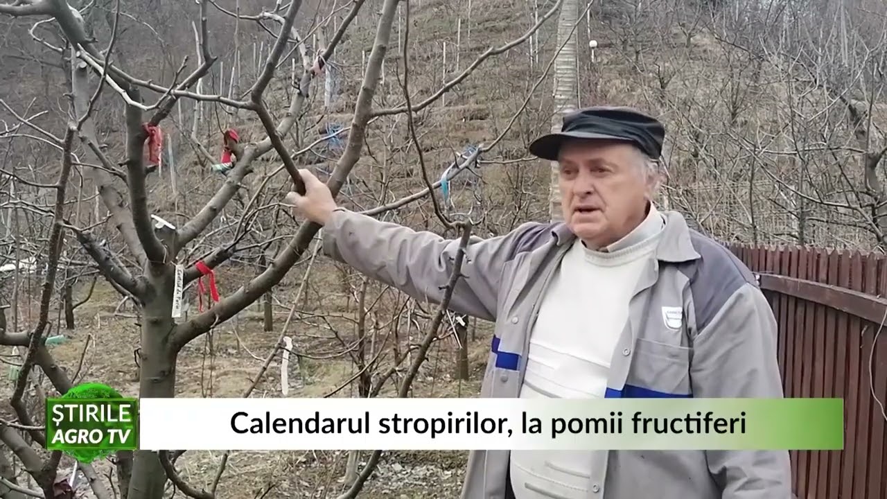 VIDEO Calendarul stropirilor la pomii fructiferi. Tratamente OBLIGATORII 1 VIDEO Calendarul stropirilor la pomii fructiferi. Tratamente OBLIGATORII YouTube player