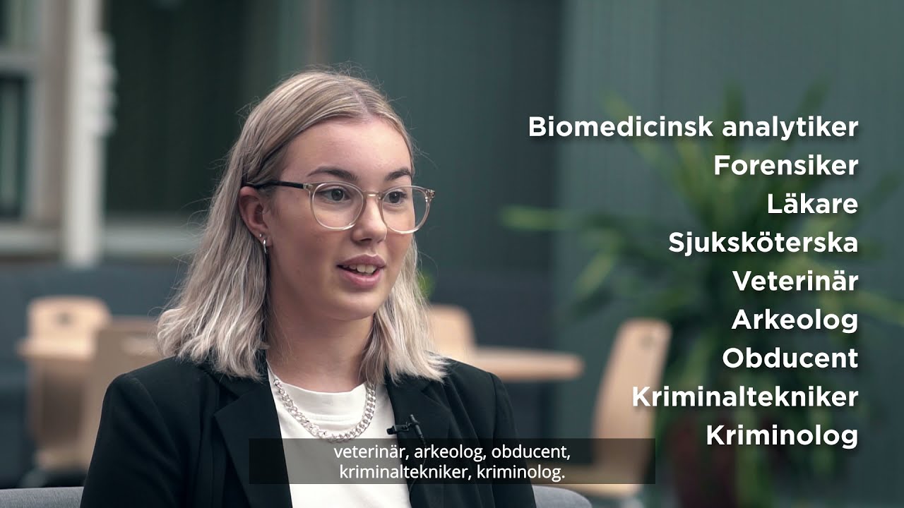 Naturvetenskapsprogrammet