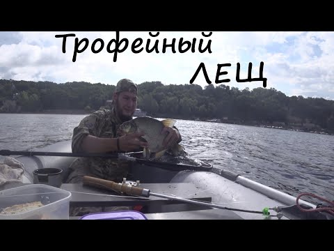 Течение на волге