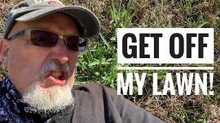 How to kill weeds in Bermuda grass