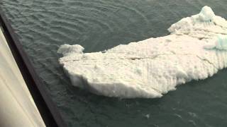 Westerdam vs Iceberg.MOV