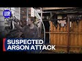 Two men arrested over woman’s death in suspected arson attack | 9 News Australia
