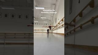 Flexibility Challenge