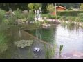 OASE Water Trio & Quintet Pond Fountains | Pondliner.com