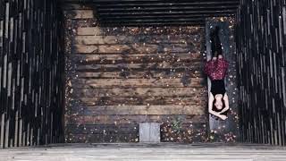 Никола-Ленивец Trip