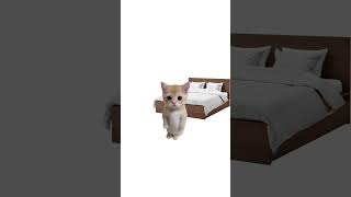 Как восстановить режим? #поясняет #котята #саморазвитие