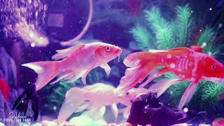 Turn your old garden corner into a great relaxing place with this simple waterfall fish tank [Ep01]
