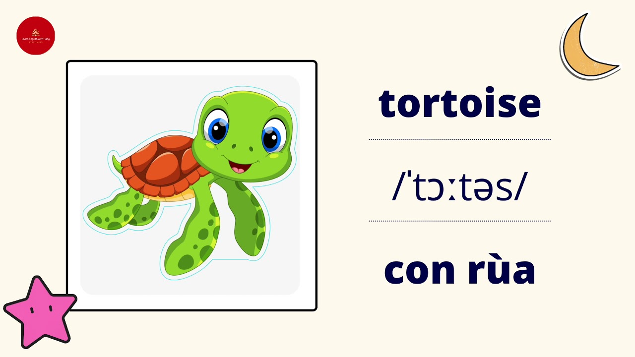 2. Vocabulary | Flyers | Animals | Từ vựng theo chủ đề | Learn English with Hang